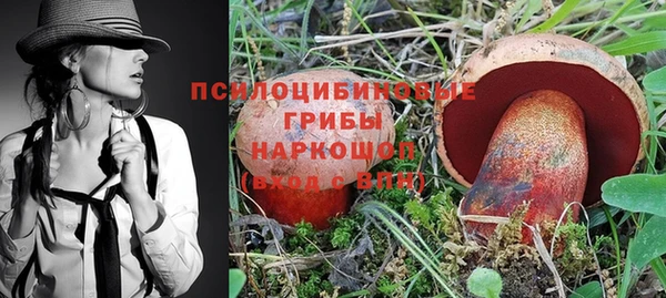 спайс Каменка