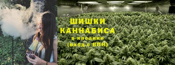 спайс Каменка