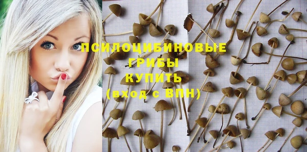 меф Каменногорск