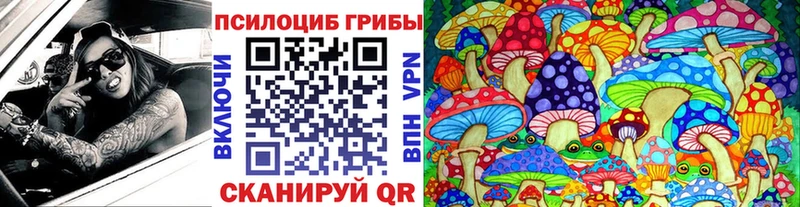 Купить  Нюрба  Галлюциногенные грибы MAGIC MUSHROOMS 